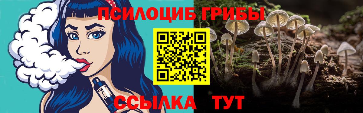 Мценск  Псилоцибиновые грибы Cubensis  Вход с VPN  как найти закладки  Псилоцибиновые грибы Cubensis 